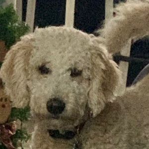 Meet your Posher, Donita